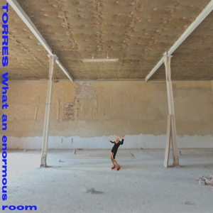 What An Enormous Room - Torres - LP - Brand New Vinyl (Arrives in 20days)