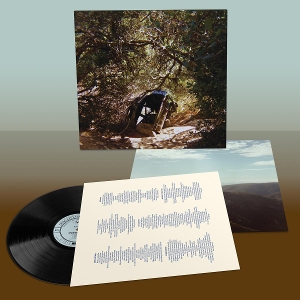 Possession - Segall, Ty - LP - Brand New Vinyl (Arrives in 20days)