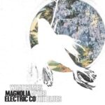 What Comes After The Blues - Magnolia Electric Co - LP - Brand New Vinyl (Arrives in 20days)