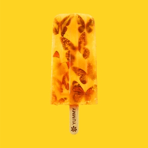 Yummy - James - LP - Brand New Vinyl (Arrives in 20days)