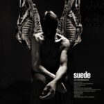 Antidepressants - Suede - LP - Brand New Vinyl (Arrives in 20days) 1 8F4799