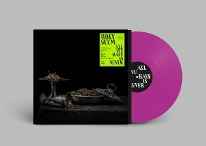 All We Have Is Never - Holy Scum - LP - Brand New Vinyl (Arrives in 20days)