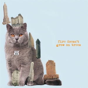 Fire Doesn't Grow On Trees - Brian Jonestown Massacre - LP - Brand New Vinyl (Arrives in 20days)