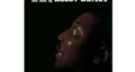 Muddy Waters – The Best Of Muddy Waters