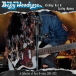 Kicking Ass & Taking Numbers - Baby Woodrose - LP - Brand New Vinyl (Arrives in 20days)