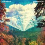 Innerspeaker - Tame Impala - LP - Brand New Vinyl (Arrives in 20days)