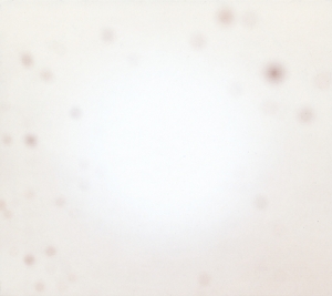 There's A Riot Going On - Yo La Tengo - LP - Brand New Vinyl (Arrives in 20days)