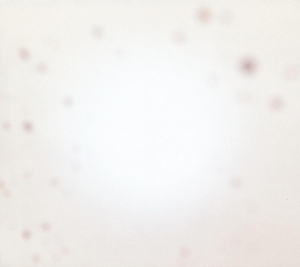 There's A Riot Going On - Yo La Tengo - LP - Brand New Vinyl (Arrives in 20days)