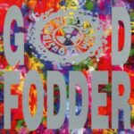 God Fodder - Ned's Atomic Dustbin - LP - Brand New Vinyl (Arrives in 20days)