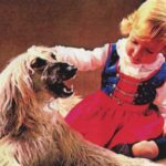 Benjamin B. - Benjamin B. - LP - Brand New Vinyl (Arrives in 20days)