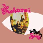 Do You Swing? - Fleshtones - LP - Brand New Vinyl (Arrives in 20days)