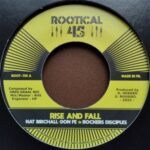 7-rise And Fall - Nat Birchall - LP - Brand New Vinyl (Arrives in 20days)