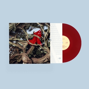 Nested In Tangles - Hannah Frances - LP - Brand New Vinyl (Arrives in 20days)