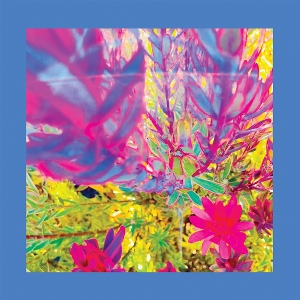 The Past Is A Garden I Never Fed - Reds, Pinks And Purples - LP - Brand New Vinyl (Arrives in 20days)
