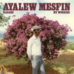 Hasabe - My Worries - Ayalew Mesfin - LP - Brand New Vinyl (Arrives in 20days)