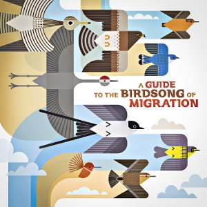 A Guide To The Birdsong Of Migration - V/a - LP - Brand New Vinyl (Arrives in 21 days)