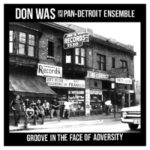 Groove In The Face Of Adversity - Don Was - LP - Brand New Vinyl (Arrives in 20days)