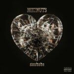 Saudade - Deez Nuts - LP - Brand New Vinyl (Arrives in 21 days)