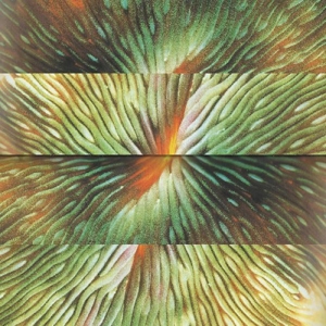 Mirroring - Active Surplus - LP - Brand New Vinyl (Arrives in 20days)