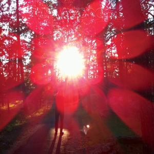 Empros - Russian Circles - LP - Brand New Vinyl (Arrives in 20days)