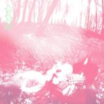 Words From A Wishing Well - Shower Curtain - LP - Brand New Vinyl (Arrives in 20days)