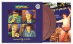 Vernemstig Te Passe - Normaal - LP - Brand New Vinyl (Arrives in 20days)