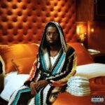 Rijkdom - Nnelg - LP - Brand New Vinyl (Arrives in 21 days)