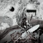 Secrets Of The Beehive - David Sylvian - LP - Brand New Vinyl (Arrives in 21 days)