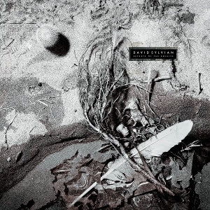 Secrets Of The Beehive - David Sylvian - LP - Brand New Vinyl (Arrives in 21 days)