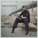 Now Is The Time - Wanda Felicia & Co... - LP - Brand New Vinyl (Arrives in 20days)