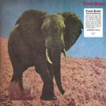 Social Gathering - Food Brain - LP - Brand New Vinyl (Arrives in 20days)