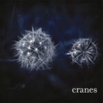 Cranes - Cranes - LP - Brand New Vinyl (Arrives in 21 days)
