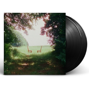 Singin' To An Empty Chair - Ratboys - LP - Brand New Vinyl (Arrives in 20days)