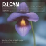 Underground Vibes - Dj Cam - LP - Brand New Vinyl (Arrives in 20days)