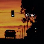 Rising For Sunset - Gene - LP - Brand New Vinyl (Arrives in 21 days)