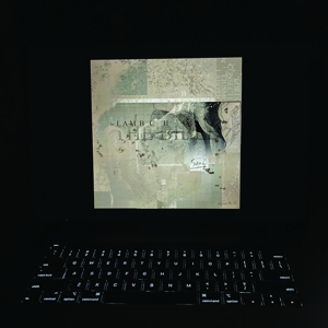 Bible - Lambchop - LP - Brand New Vinyl (Arrives in 20days)