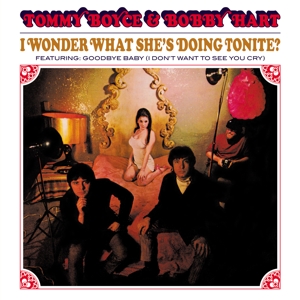 I Wonder What She's Doing Tonite? - Boyce, Tommy &amp; Bobby Hart - LP - Brand New Vinyl (Arrives in 20days)
