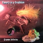 Canary In A Coalmine - Graeme Jefferies - LP - Brand New Vinyl (Arrives in 20days)