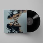 Water Made Us - Jamila Woods - LP - Brand New Vinyl (Arrives in 20days)