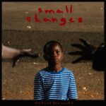 Small Changes - Michael Kiwanuka - LP - Brand New Vinyl (Arrives in 21 days)