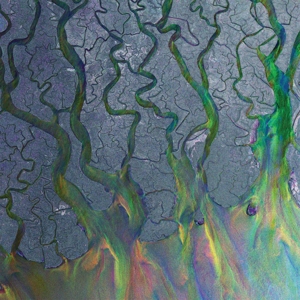 An Awesome Wave - Alt-j - LP - Brand New Vinyl (Arrives in 21 days)