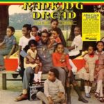 Lots Of Loving - Ranking Dread - LP - Brand New Vinyl (Arrives in 20days)
