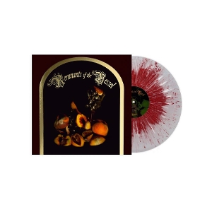 Remnants Of The Vessel - Faetooth - LP - Brand New Vinyl (Arrives in 21 days)