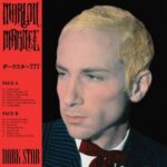 Dark Star - Marlon Magnee - LP - Brand New Vinyl (Arrives in 21 days)
