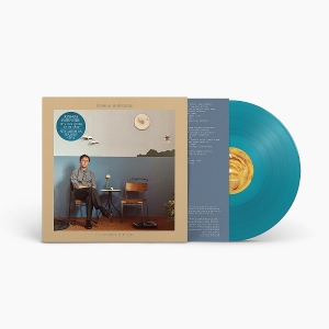 It's Not Going To Be Okay - Joshua Burnside - LP - Brand New Vinyl (Arrives in 20days)