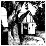 Cottage Songs - Naomi Lewis - LP - Brand New Vinyl (Arrives in 20days)