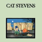 Teaser And The Firecat - Cat Stevens - LP - Brand New Vinyl (Arrives in 21 days)