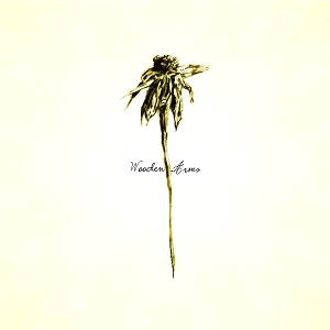 Wooden Arms - Patrick Watson - LP - Brand New Vinyl (Arrives in 20days)