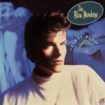 Animal Magic - Blow Monkeys - LP - Brand New Vinyl (Arrives in 20days)