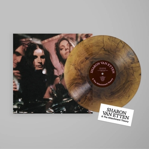 Sharon Van Etten &amp; The Attach. - Sharon Van Etten - LP - Brand New Vinyl (Arrives in 20days)